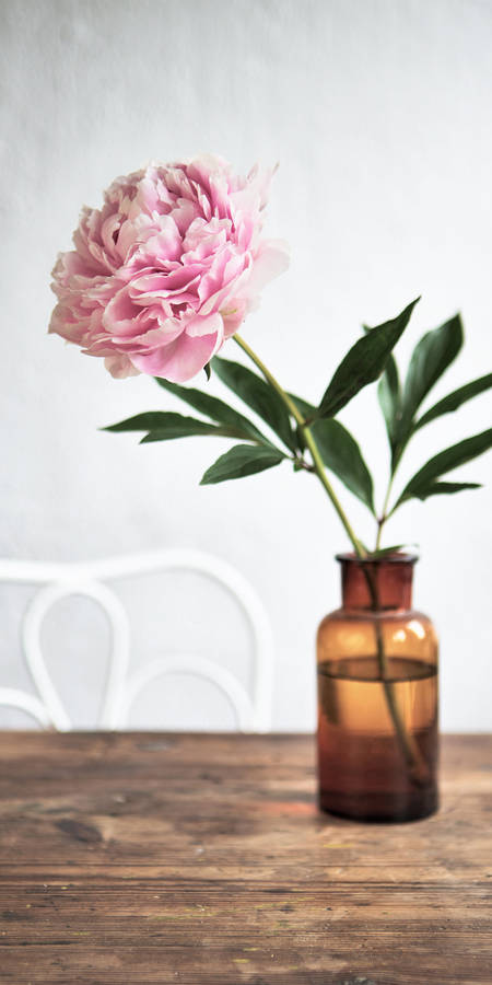 Photograph by Marina Ekroos © 